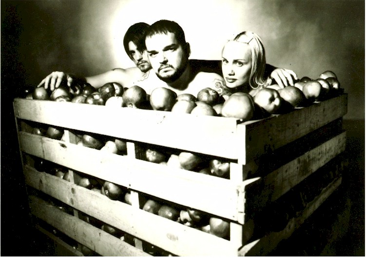 11apples.jpg (99903 bytes)