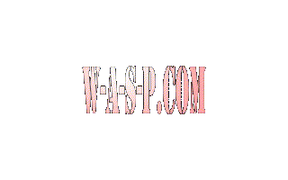 waspcom.gif (111787 bytes)